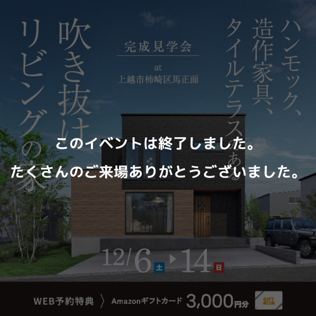 　ハンモック×造作家具×タイルテラスのある吹き抜けリビングの家