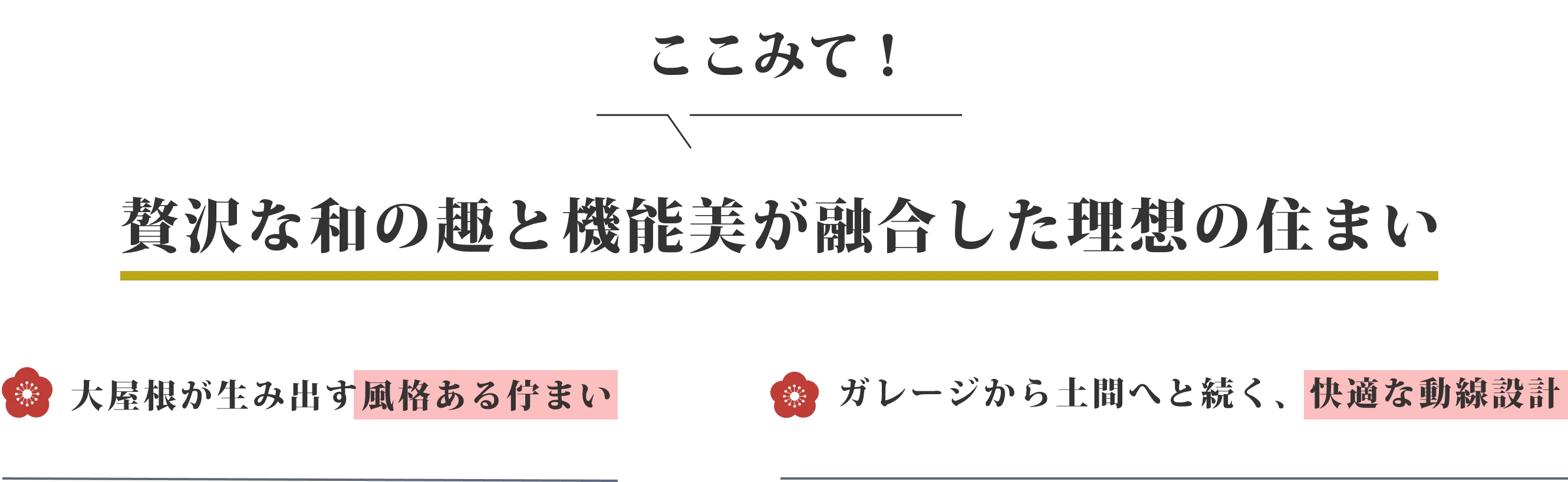 ここみて！ 自然素材に包まれる上質な住まい
